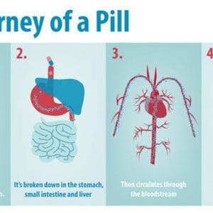 How Drugs Work in the Body