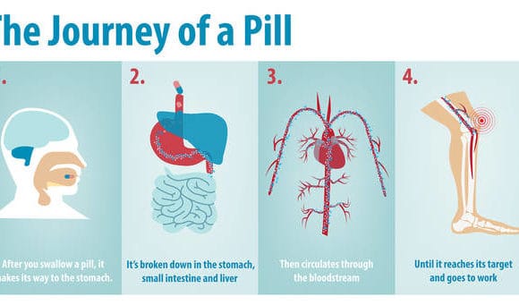 How Drugs Work in the Body